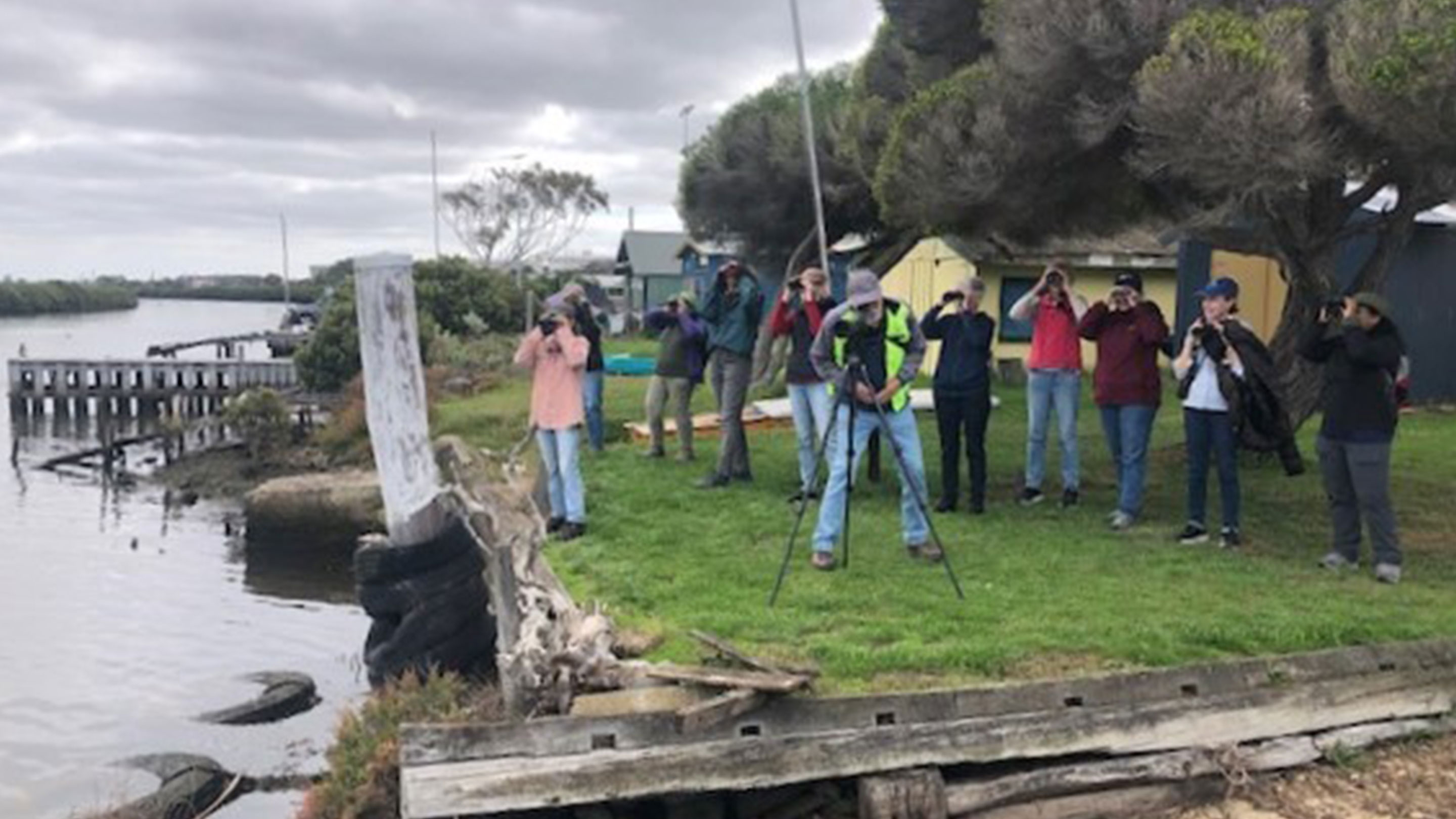 Supporting community bird monitoring program in Altona wetlands