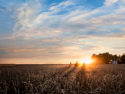 Three people crossing a wheat field at sunset, walking towards a farmhouse.