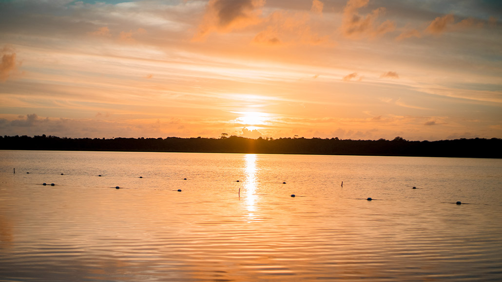 Guyana's environment