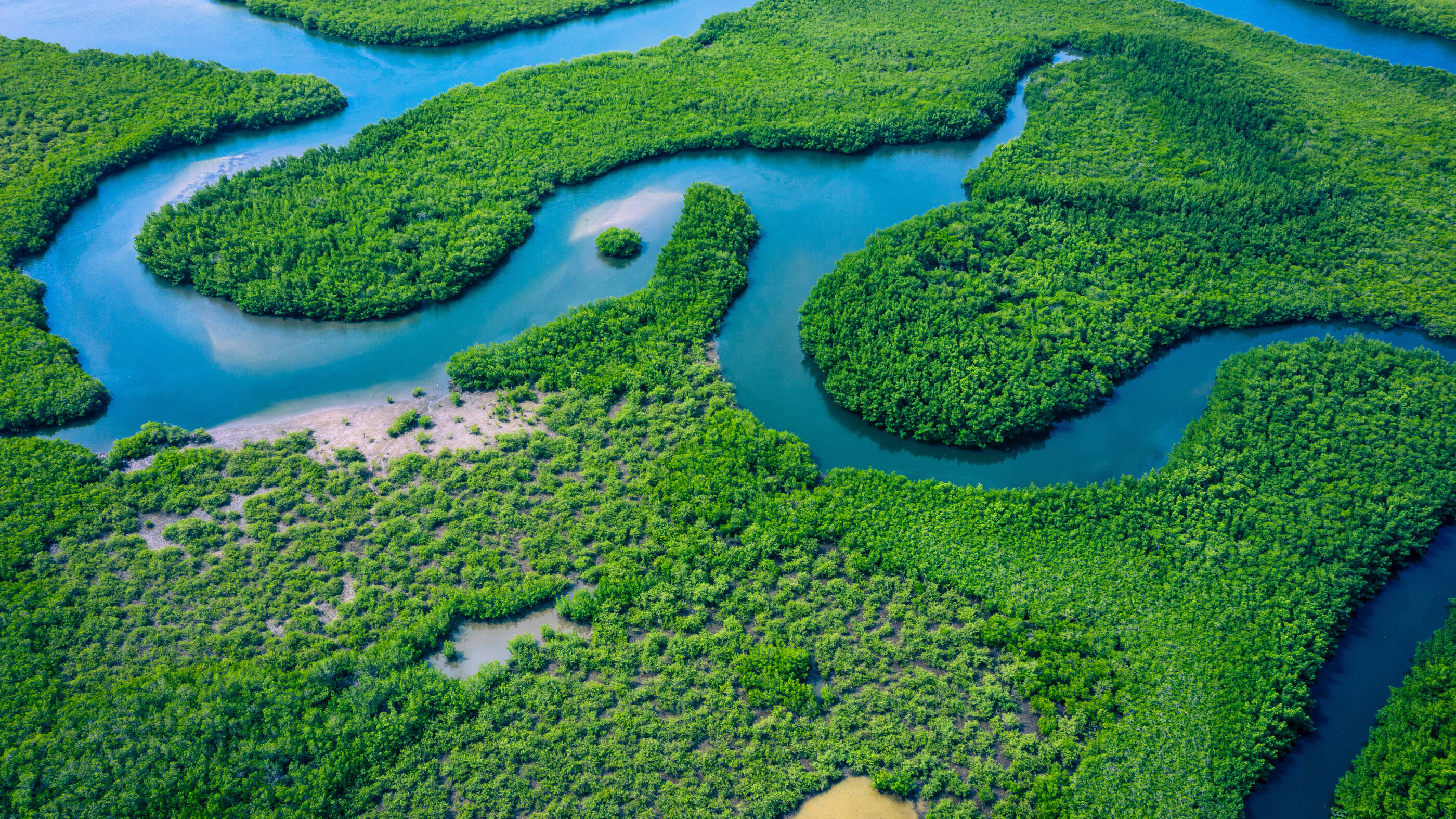 Biomedical Sciences: Protecting people and the planet