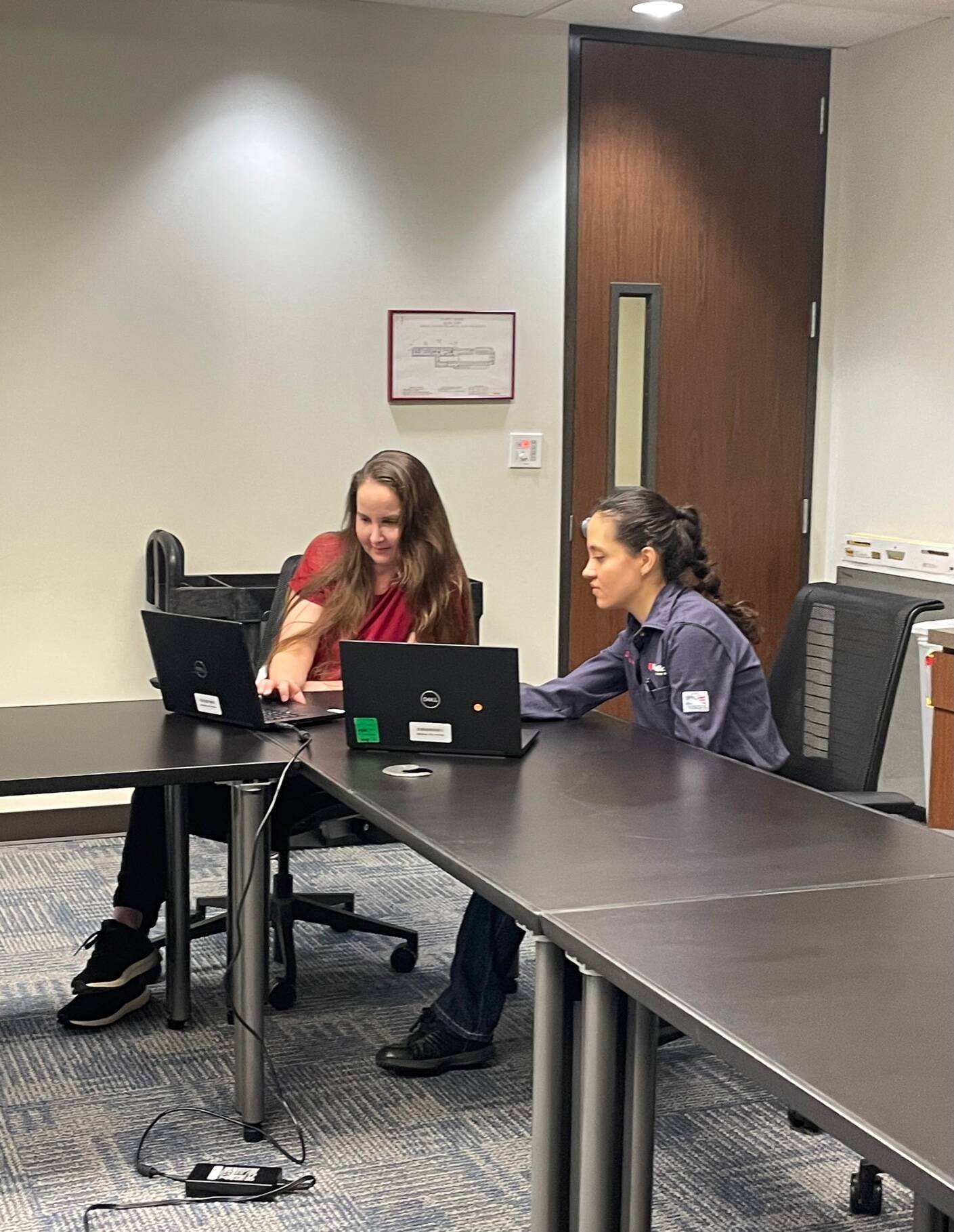 Stephanie and a teammate work to update their elemental analysis spreadsheet.